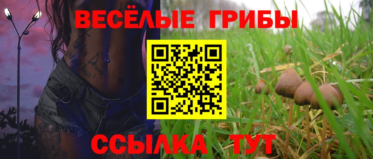 Североуральск  Галлюциногенные грибы Psilocybine cubensis  Псилоцибиновые грибы Cubensis  Вход с VPN 